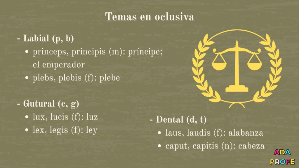 tercera declinación latín