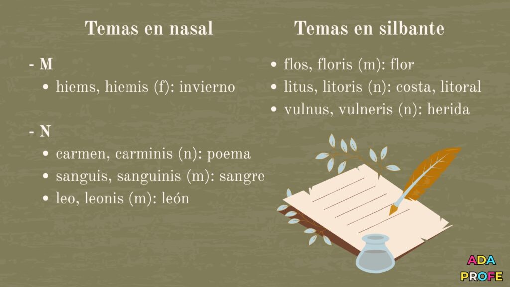 tercera declinación latín
