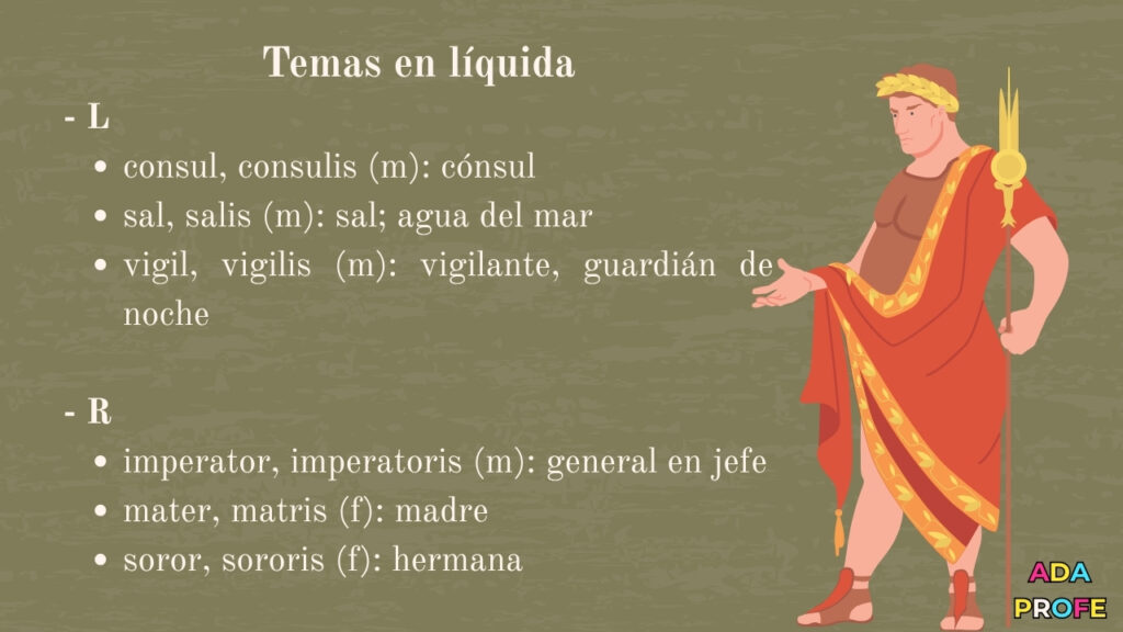 tercera declinación latín