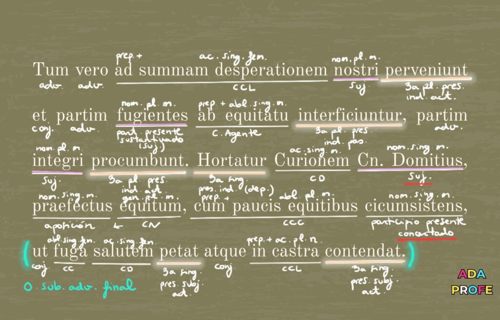 clases de latín online