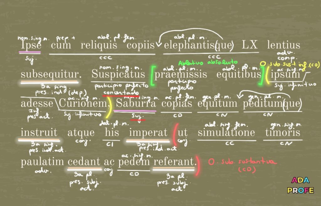 clases de latín online