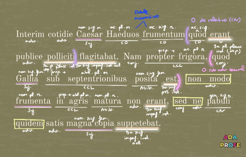 clases de latín online