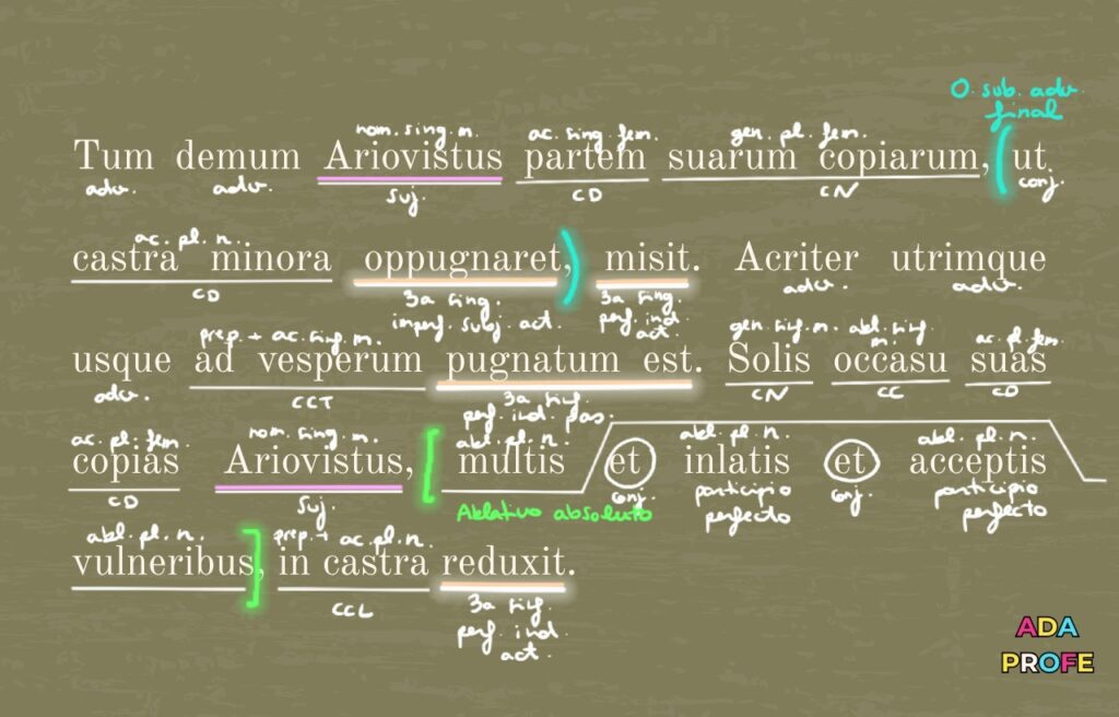 clases de latín online